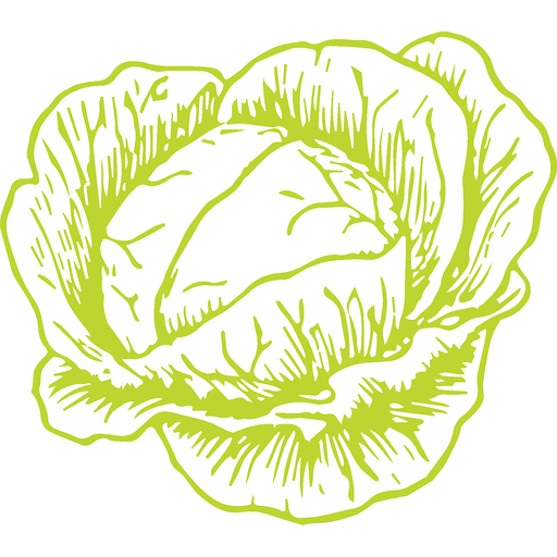 Pantene Curl Perfection Conditioner - 12.6 Fl Oz