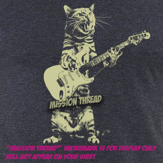 Gato tocando la guitarra
