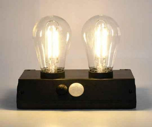 Solar Double LED Bulb Lamp YT-819 2W