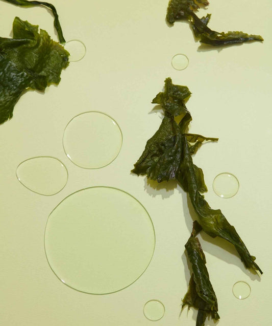 Nutrient Seaweed Wash