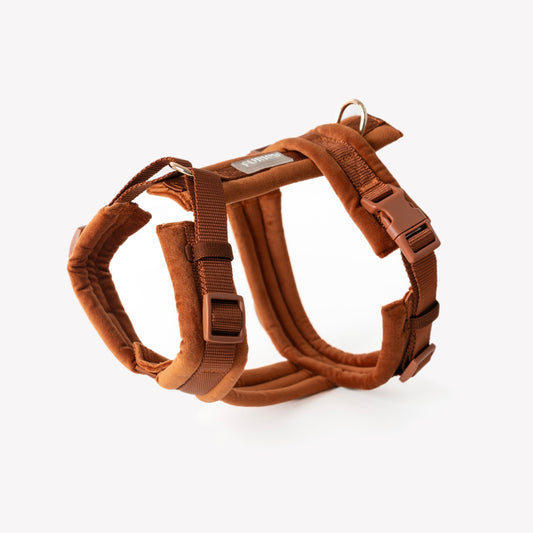 Clay - Velvet Dog Harness