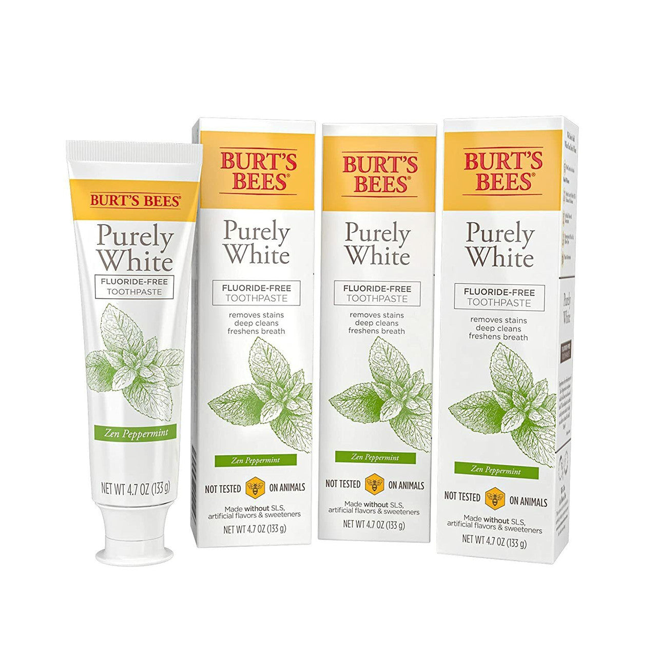 Burt's Bees Toothpaste, Fluoride Free, Zen Peppermint