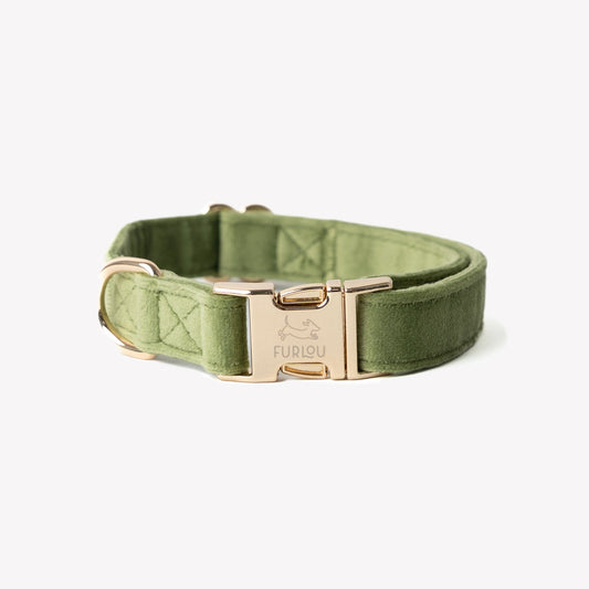 'Green' - Velvet Dog Collar
