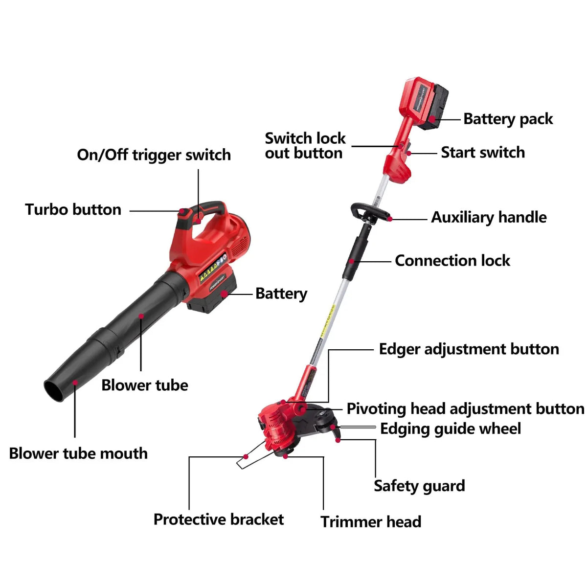 Cordless 40V string trimmer in use trimming grass along a garden edge