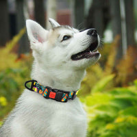 5 Colors Collar Dog Nylon Printed Pet Puppy Dog