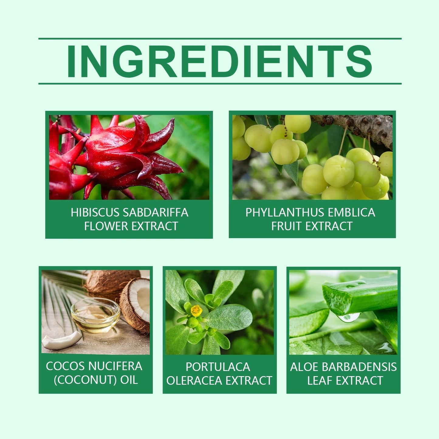 Herbal Hair Care Oil Gently Cleans And Moisturizes Dry And Split Hair And Nourishes Hair