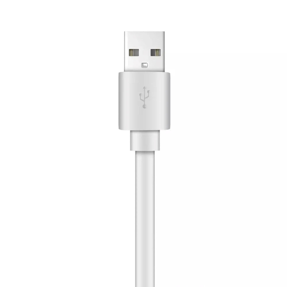 Xyst Charge and Sync USB to USB-C Flat Cable 4Ft - Trustymall