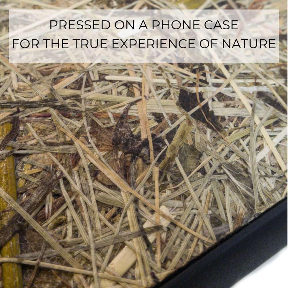 Organic Case - Alpine Hay - Trustymall