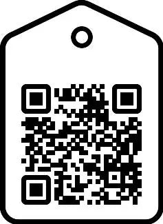 Cognizance | The Beauty Pill