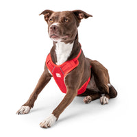 Close-up of red travel harness’s breathable mesh and adjustable straps on white background.