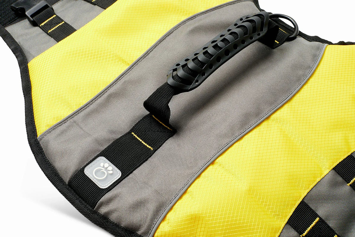 Large dog wearing the bright yellow life jacket with chin flotation flap near the head.