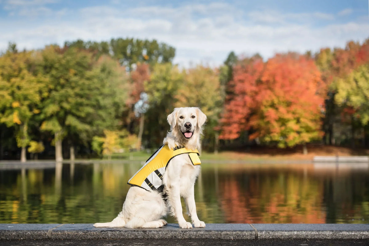 Back view of adjustable yellow dog life jacket with reflective strip and handle