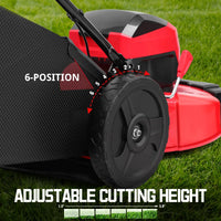 Two 40V rechargeable batteries standing side by side for cordless mower power