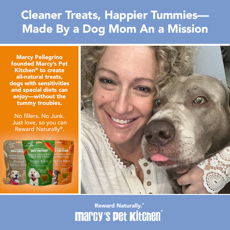 Marcy's Pet Kitchen- All Natural, Vegan Pumpkin Biscuit Dog Treats - Homemade-Vet Approved- Vegan, Gluten Free, Human Grade Ingredients, Made in The USA, Healthy Pumpkin Dog Treats
