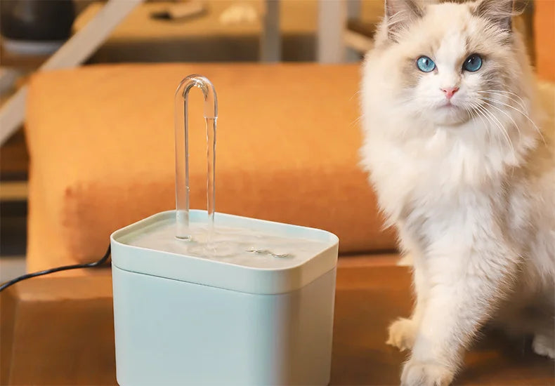 Ultra-Quiet Pet Water Fountain Auto Filter USB Electric