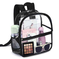 Clear mini backpack with transparent PVC material and soft handle, designed for women.