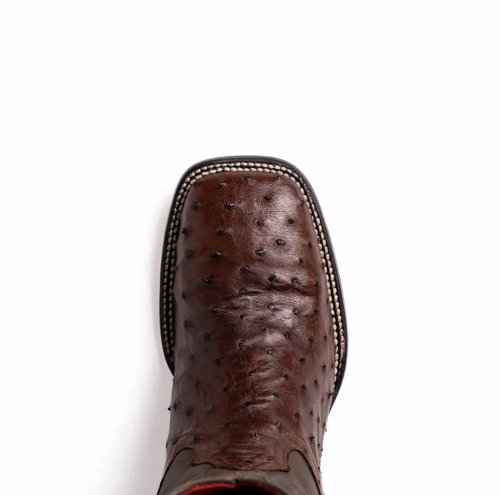 Alabama Kango Tabac product image for TrustyMall.