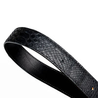 Arkansas black python belt coiled on white surface showcasing shiny brass buckle and leather interior