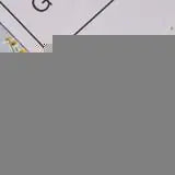 Seashell Earrings Beach Jewelry Drop Earrings (Pair)