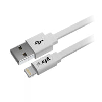 Xyst 2.4-Amp Dual USB Wall Charger With 4Ft Lightning Cable - Trustymall
