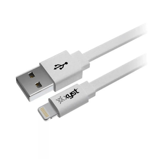 Xyst 2.4-Amp Dual USB Wall Charger With 4Ft Lightning Cable