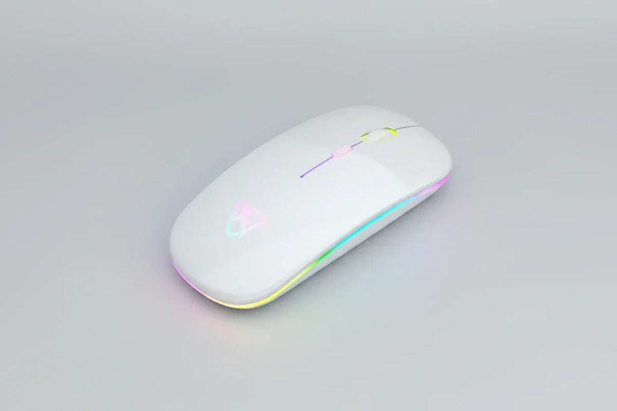 Black USB rechargeable RGB LED wireless mouse paired with silver keyboard.