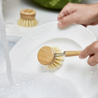 Eco-friendly bamboo dish brush with natural fiber bristles shown against white backdrop.