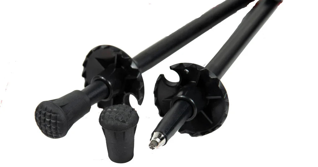 Trekking poles with sharp metal tips set on dirt ground with foliage in background.