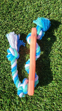 Active dog chewing on rubber bone chew toy with attached rope during playtime.