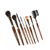 Complete Daniel Cole makeup brush set arranged neatly showing various brush types with short wooden handles.