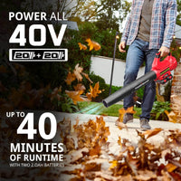 Top view of cordless leaf blower showing battery compartments and control buttons.