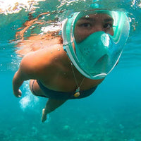 Full Face Snorkel Mask