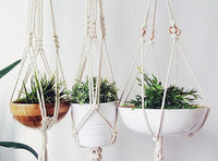 Macrame plant hanger showcasing intricate cotton rope design for indoor plants.
