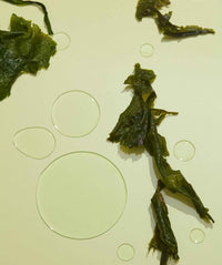 Nutrient Seaweed Wash