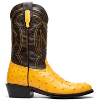 Close-up of Savannah Buttercup cowboy boot red vamp and textured ostrich quill leather.