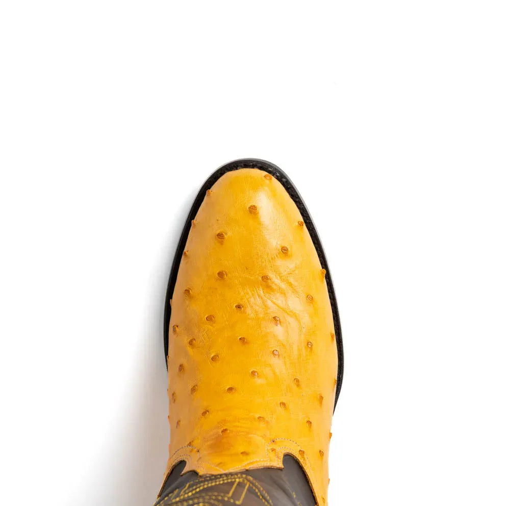 Back angle showing Savannah Buttercup boot heel and contrast full-grain leather shaft.