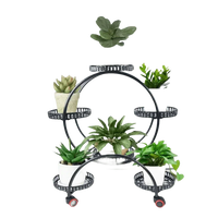 Side view of tall black metal circular plant stand with six different plants in colorful pots.