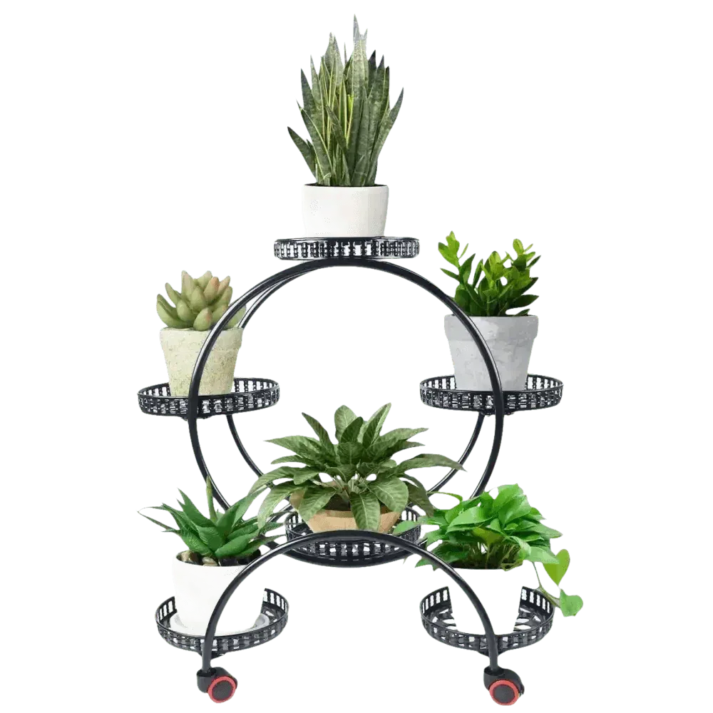 Close-up of black metal plant stand tiers displaying multiple lush green plants in diverse pots.